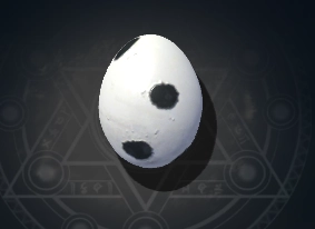 Seagull Egg